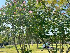 -盘龙城国家考古遗址公园