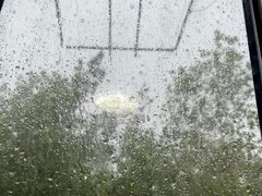 -川香煲(茅台路店)