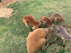 -南京金牛湖风景区