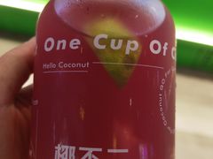 -椰不二(江北大洋百货店)