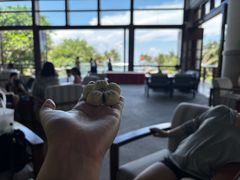 -亚龙湾喜来登·美景台大堂吧