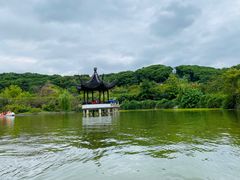 -苏州上方山国家森林公园