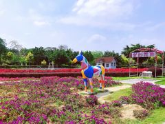-广东花都香草世界旅游度假区