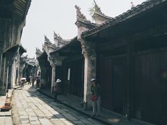 -洪湖生态旅游区