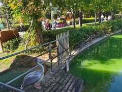 -南京金牛湖风景区