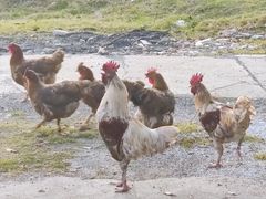 -昆山城市公园
