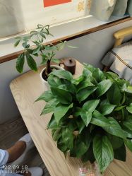 -痘院长·祛痘·科技美肤