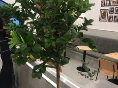 -石头先生的烤炉(济南领秀城贵和店)