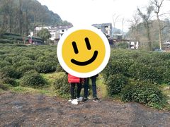 -龙井村