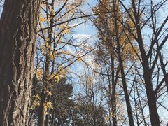 -紫金山索道-售票处