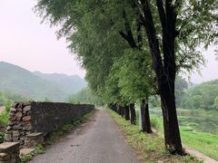 -白河湾生态旅游一条川