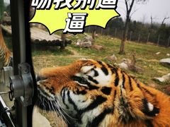 -西安秦岭野生动物园