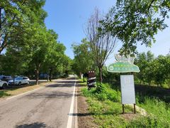 -北京鹿世界主题园