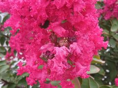 -杭州城北体育公园