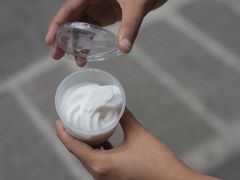 -洪馨椰子