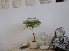 -纽巷咖啡 SOFTFOCUS COFFEE(锦和巴黎时韵店)