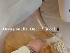-More Fun猫咖 二十只万元加菲主题