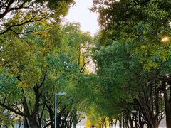 -白塘生态植物园