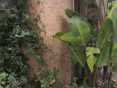 -悦哉·派对·草坪婚礼·围炉煮茶(三圣乡店)