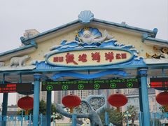 -海合安成都极地海洋公园