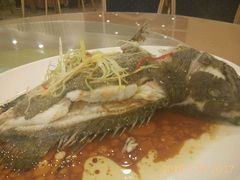 -顺峰渔港中国人的餐厅