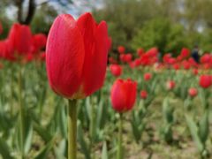 -长春公园(普阳街道)