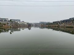 -新概念来凤鱼(璧山店)