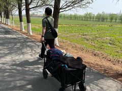 -嘉北郊野公园