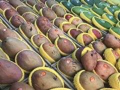 -三亚新鸿港水果一级批发市场