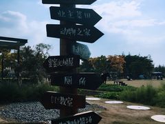 -田园东方蜜桃村的田野营地