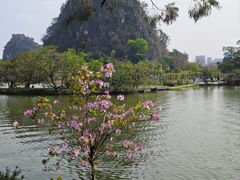 -南沙蒲洲花园