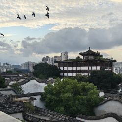 -斑斓色彩沙龙