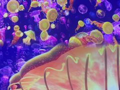 -海合安青岛极地海洋公园