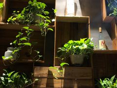 -比格比萨自助(花园路店)