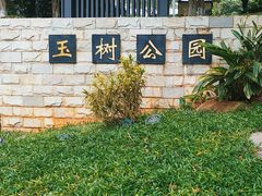 -玉树公园