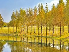 -龙湖星悦荟(颐和店)