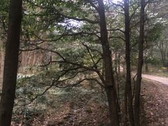 -黄公望隐居地