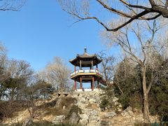 -莲花池公园
