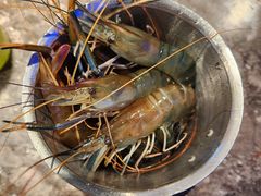 -曼格活海鲜·牛排自助(光明蓝鲸店)