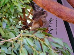 -费瑟代尔野生动物园