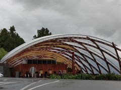 -怀托摩萤火虫洞