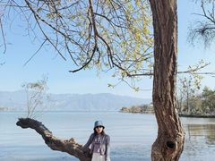 -西昌邛海宾馆