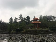 -四川大学(望江校区)