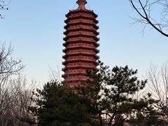 -西海子公园