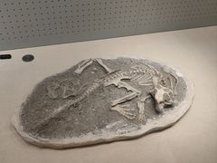 -辽宁古生物博物馆
