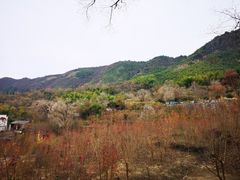 -塔川景区