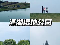 -滆湖低碳生态公园