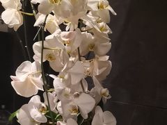 -浩运·海鲜青岛菜·海胆水饺(石老人店)