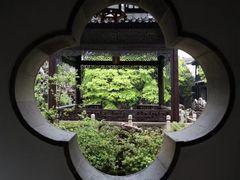 -何园