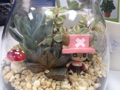 iphone_upload_pic-妃比花艺(光启城时尚购物中心店)